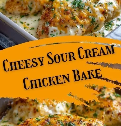 Creamy sour cream chicken bake served in a casserole dish
