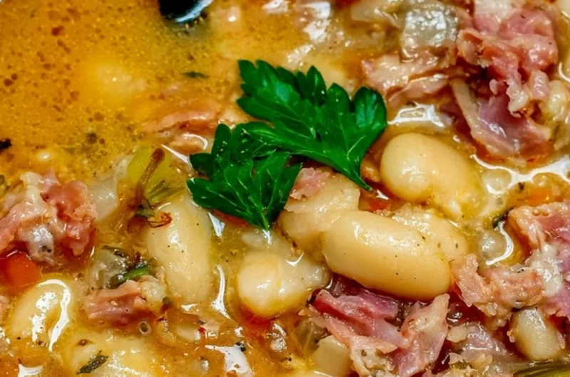 Crock Pot ham bone and bean soup garnished with herbs