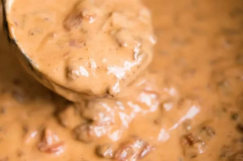 Delicious slow cooker queso dip served in a bowl with tortilla chips
